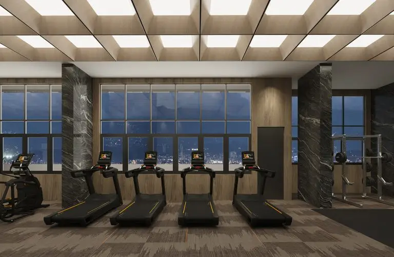 Luxury JB Service Apartment for Sale Near RTS & CIQ | Senyum Residences 10 Sky gymnasium at Senyum Residences Johor Bahru with panoramic city views